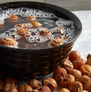 SoapNuts-from-pakistan.jpg